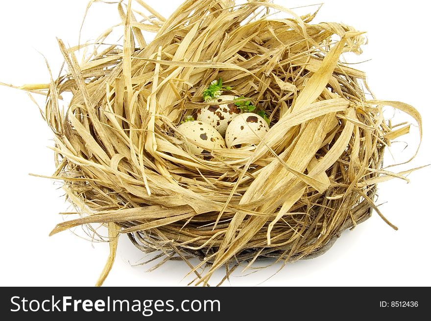Nest with eggs on a white background