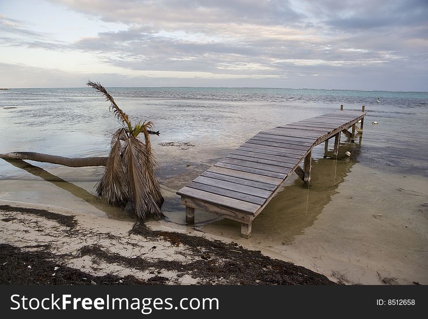 A fallen palm tree and small wooden pier at the water's edge on Ambergris Caye in Belize. A fallen palm tree and small wooden pier at the water's edge on Ambergris Caye in Belize.