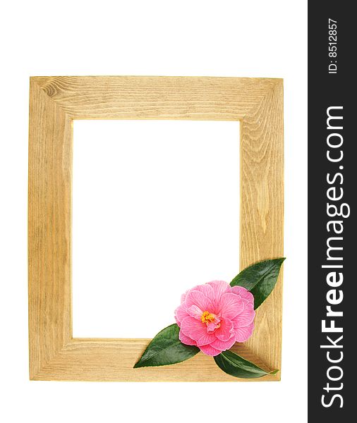Wooden picture frame with camellia flower copy space inside. Wooden picture frame with camellia flower copy space inside