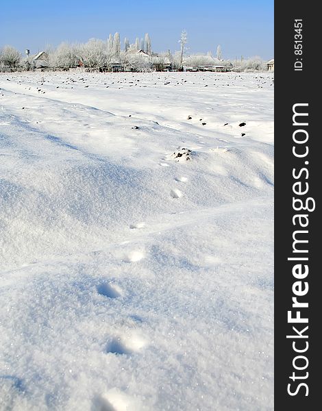 Winter landscape. blue sky. animal traces