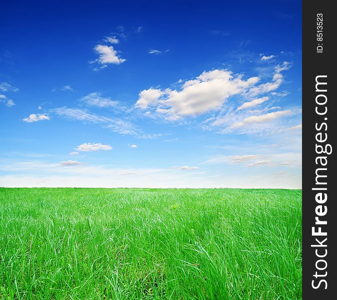 Field of green grass and blue sunny sky