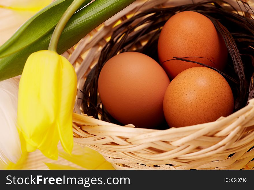 Three eggs in the nest with yellow feathers and tulip flower. Three eggs in the nest with yellow feathers and tulip flower