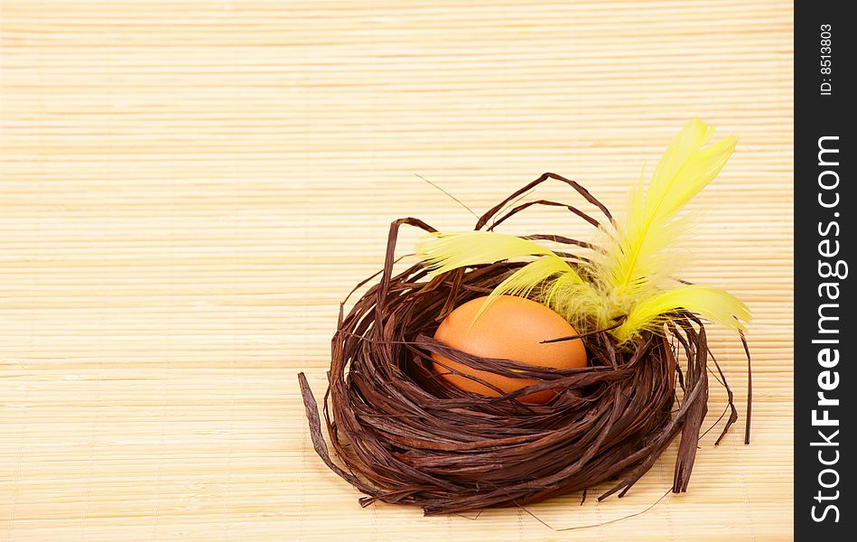 Eggs in nest with feathers