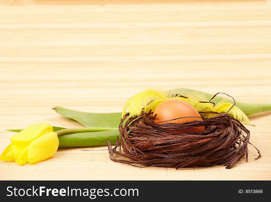 Eggs in nest with flower