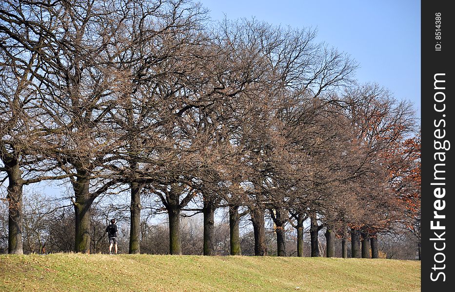 Men running along the trees. Men running along the trees