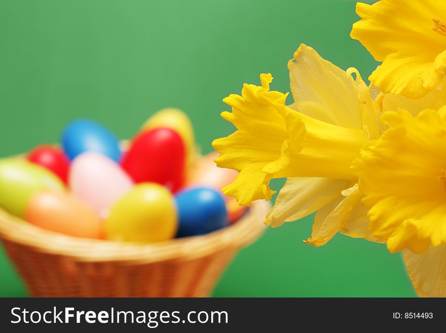 Yellow narcissuses and basket with easter eggs. Yellow narcissuses and basket with easter eggs