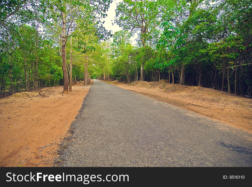 Secondary road path from Angkor`s temple.Cambodia