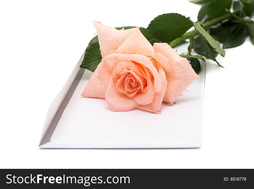 Rose and  envelope on a white background