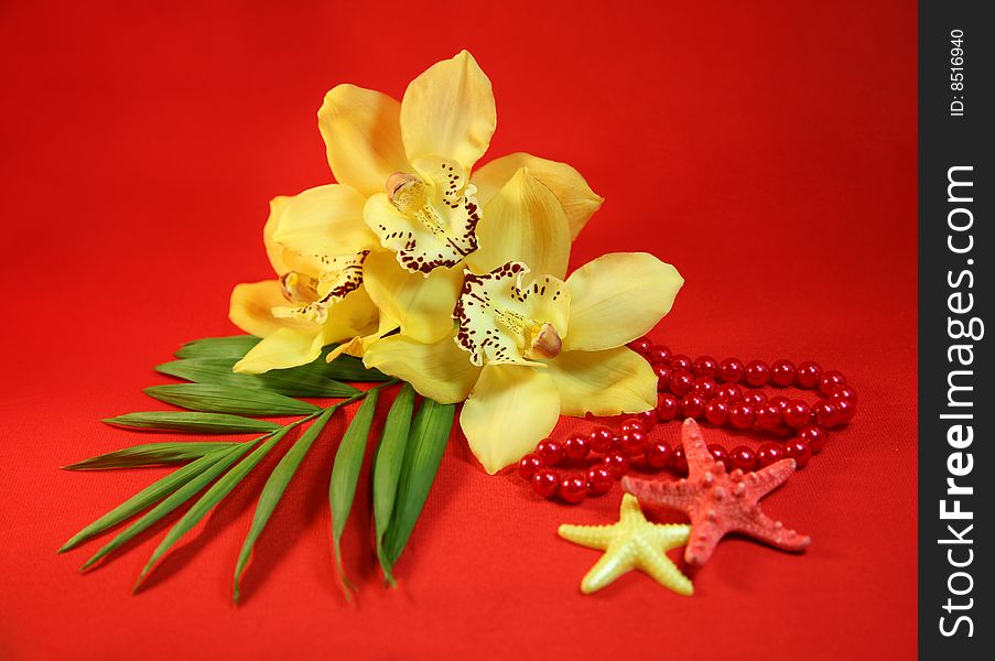 Three orchids, beads and starfishes are isolated on a red background