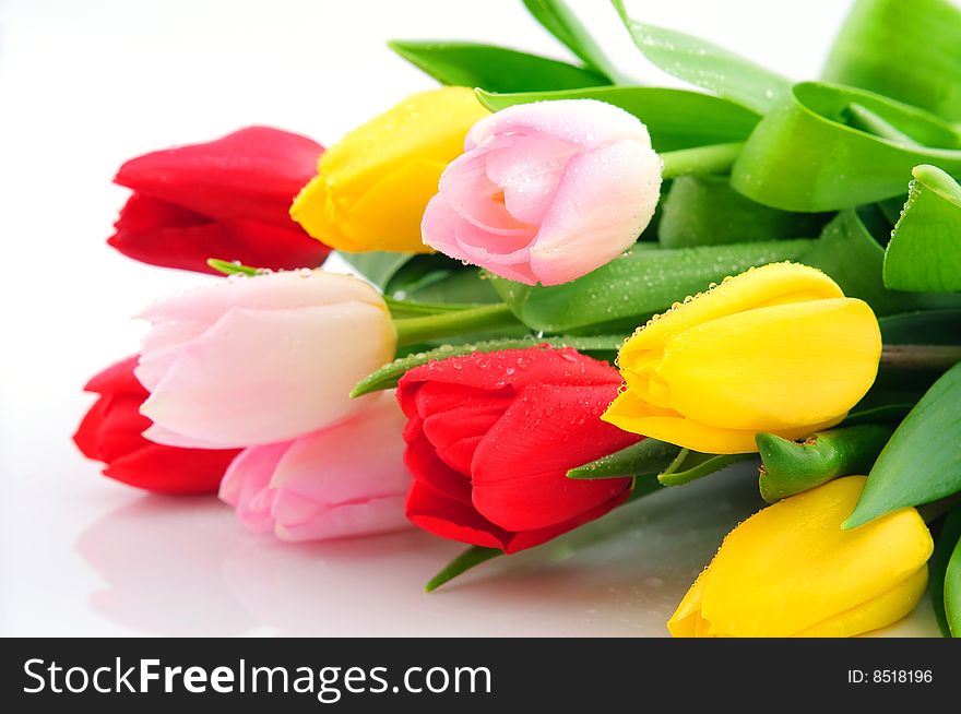 Bunch of colorful tulips isolated on white