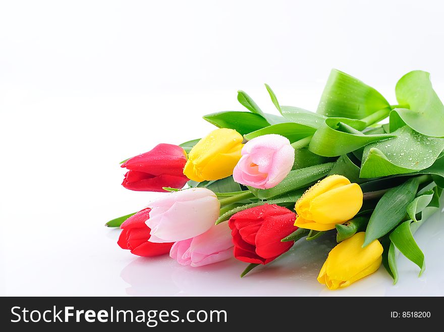 Bunch of colorful tulips isolated on white. Bunch of colorful tulips isolated on white