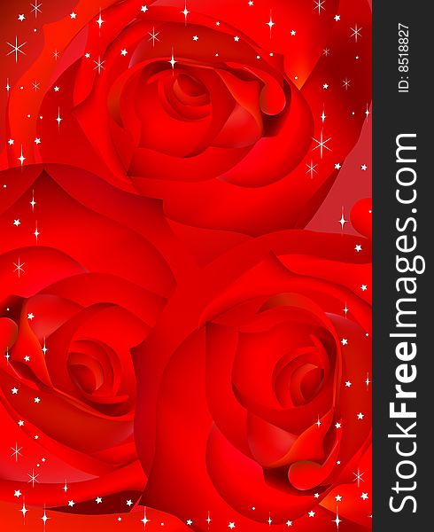 Red roses against a card