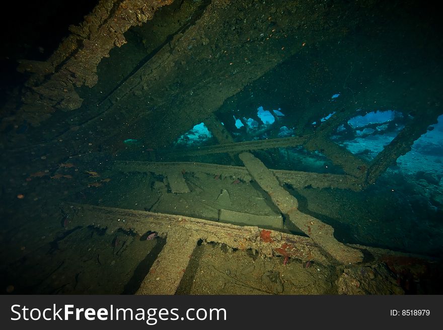 Wreck Dunraven 1876 taken in the red sea.