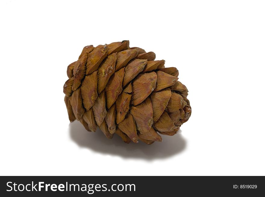 Fir cone isolated over white background. Fir cone isolated over white background