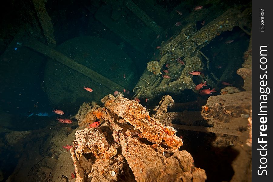 Wreck Dunraven 1876 taken in the red sea.