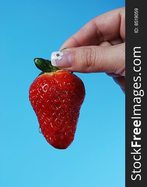 Closeup of starwberry in womans fingers on blue background vertical. Closeup of starwberry in womans fingers on blue background vertical