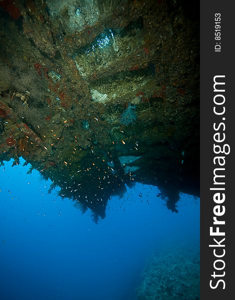 Wreck Dunraven 1876 taken in the red sea.