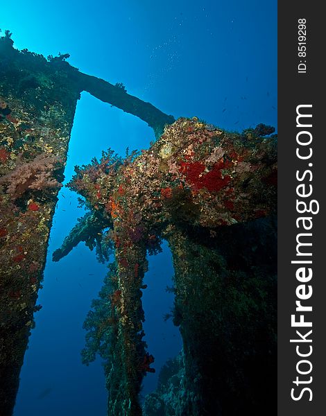 Wreck Dunraven 1876 taken in the red sea. Wreck Dunraven 1876 taken in the red sea.