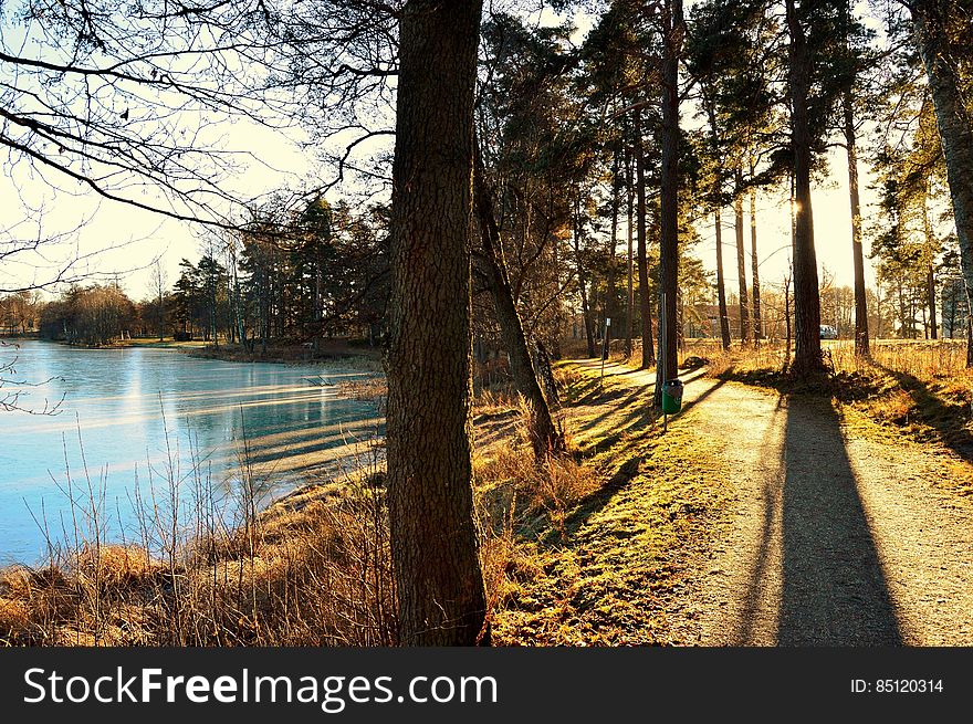 Coast of a frozen lake in Sweden. Coast of a frozen lake in Sweden.