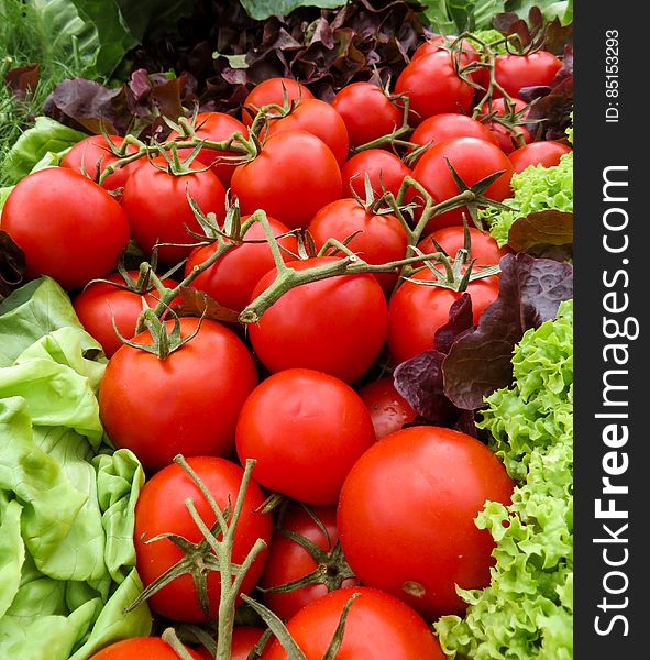 A close up of fresh tomatoes and lettuce.