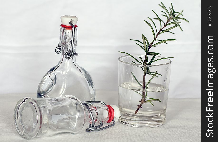 Green Leaf Plant on a Drinking Glass and Bottles