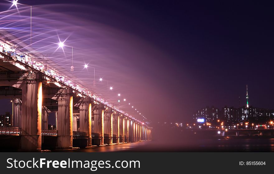 Gray Bridge With Street Light during Nighttime