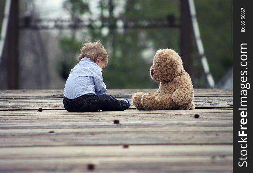 Small boy playing on wooden bridge with stuffed teddy bear. Small boy playing on wooden bridge with stuffed teddy bear.