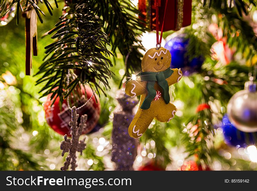 Gingerbread Man Ornament Hanging On Christmas Tree