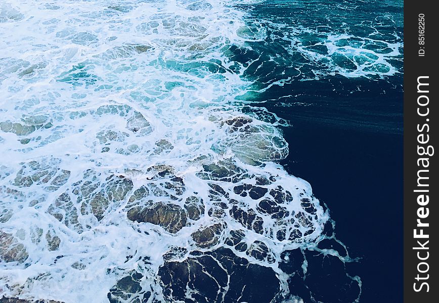 Close-up of Sea Foam