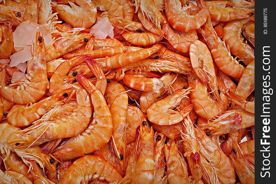PUBLIC DOMAIN DEDICATION - Pixabay - digionbew 12. 15-07-16 Giant shrimp LOW RES PDSC06378