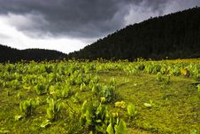 Shangri-la Landscape Stock Image Shangri-la Landscape Stock Image