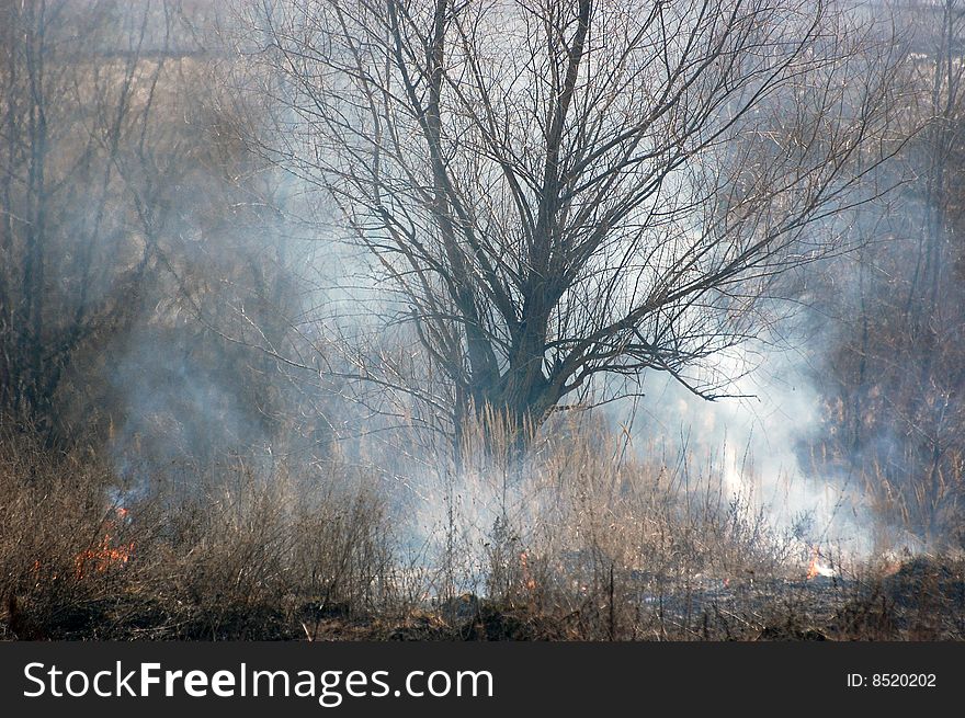 Fire in the bush. Near Kiev,Ukraine. Fire in the bush. Near Kiev,Ukraine