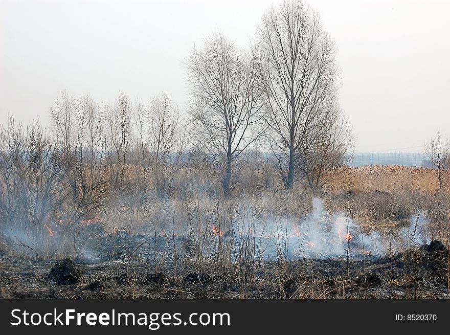 Fire in the bush. Near Kiev,Ukraine. Fire in the bush. Near Kiev,Ukraine