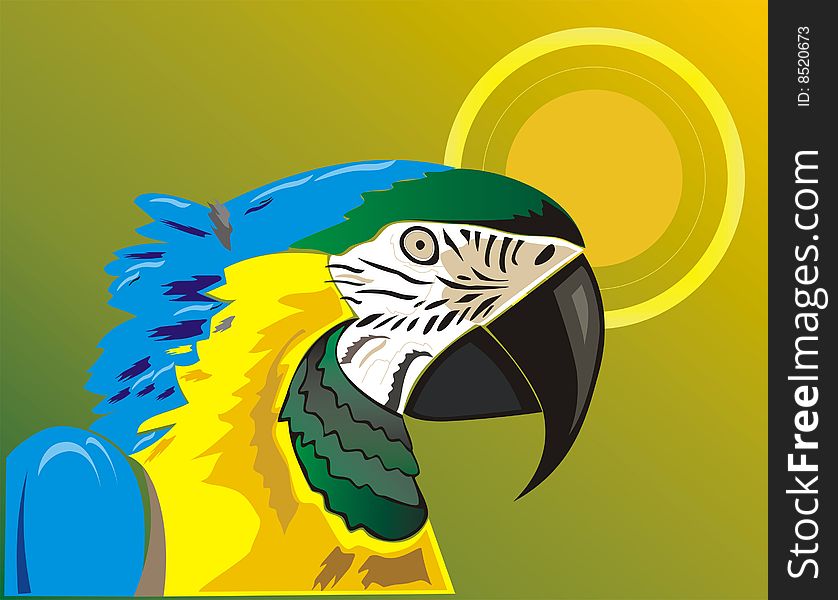 Parrot bird in sunshine jungle