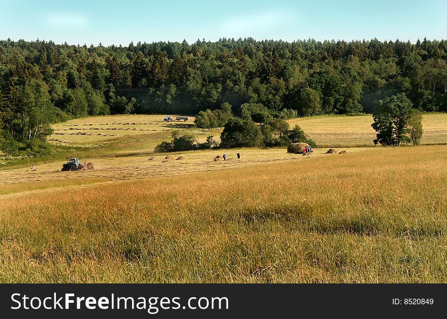 Haying in the Russian outback