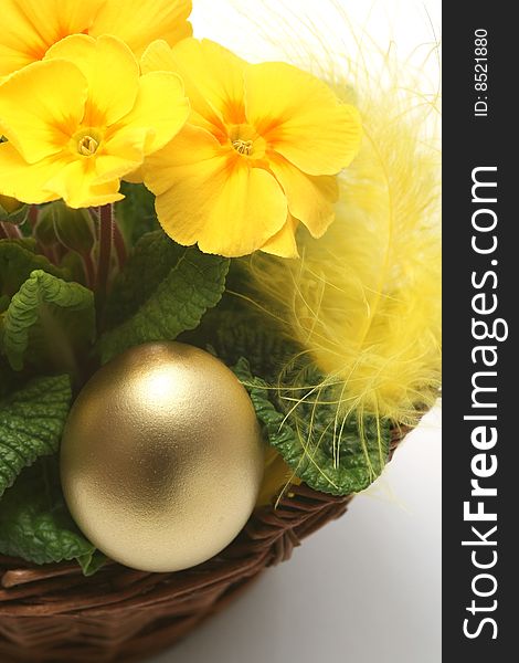 Golden egg with spring yellow flower for easter background.