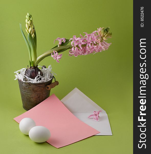 Letter with easter congratulation and bucket with a hyacinth