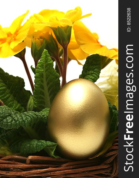 Golden egg with spring yellow flower for easter background.