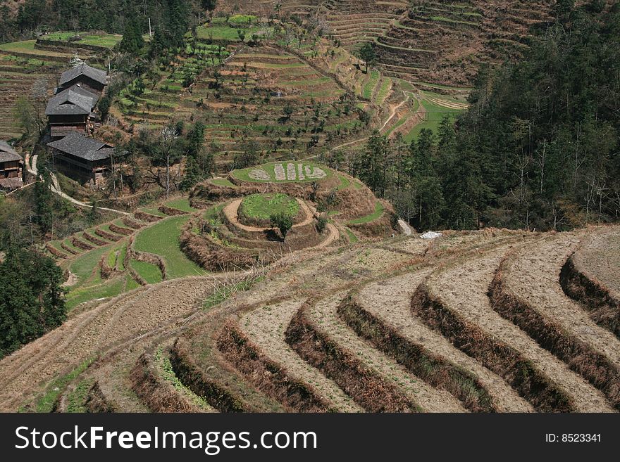 A photograph of the Yao village at Longji rice terraces from the hill at Longsheng, Guangxi Province. A photograph of the Yao village at Longji rice terraces from the hill at Longsheng, Guangxi Province.