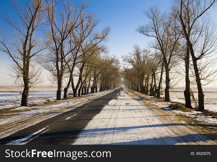 Snow covered  road in winter.