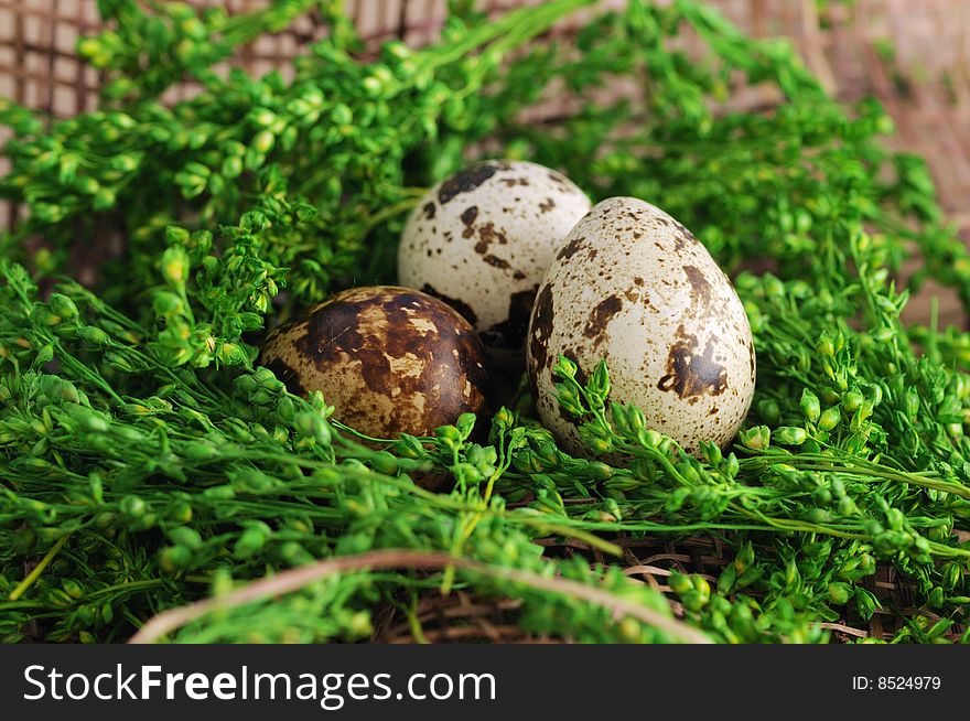 Easter eggs in easter nest