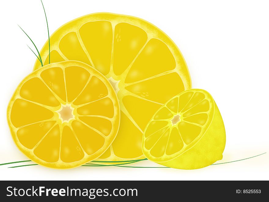 Sunny summer orange fruit illustration on white background. Sunny summer orange fruit illustration on white background.