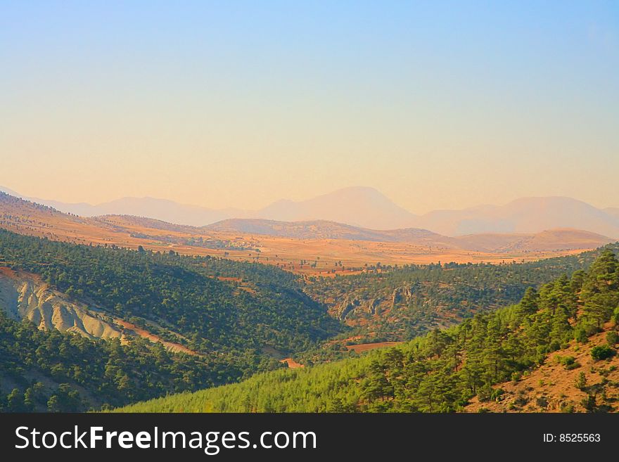 Green Summer valley in Turkey