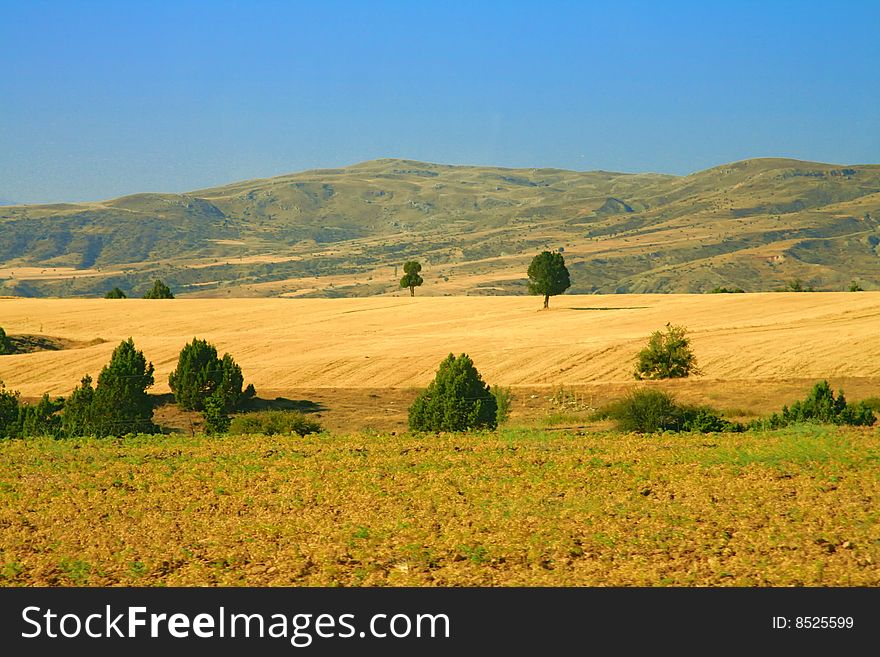 Green Summer peaks of Turkey