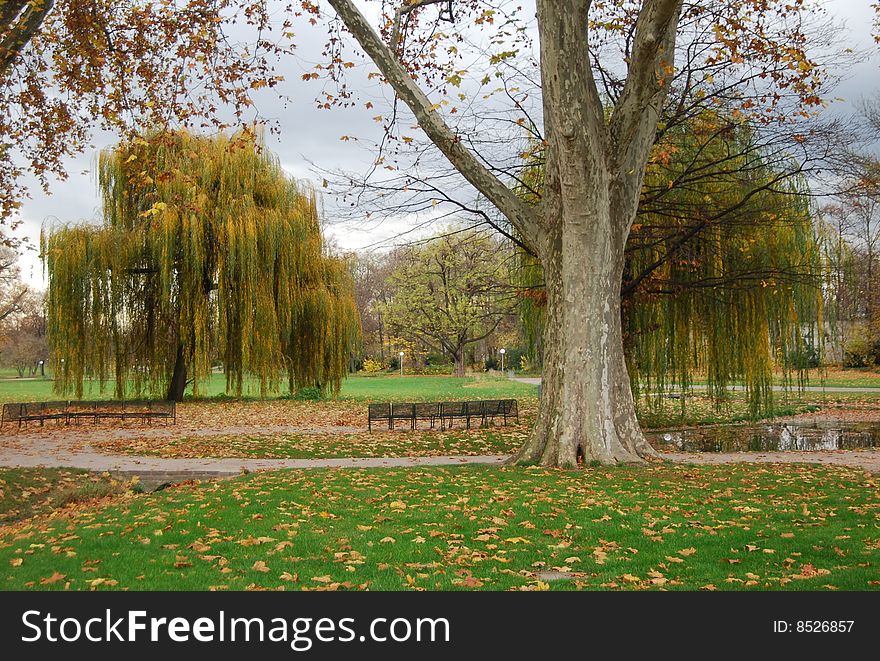 Autumn park in Stuttgart, Germany