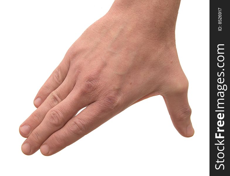 Man's martial palm isolated on a white background.