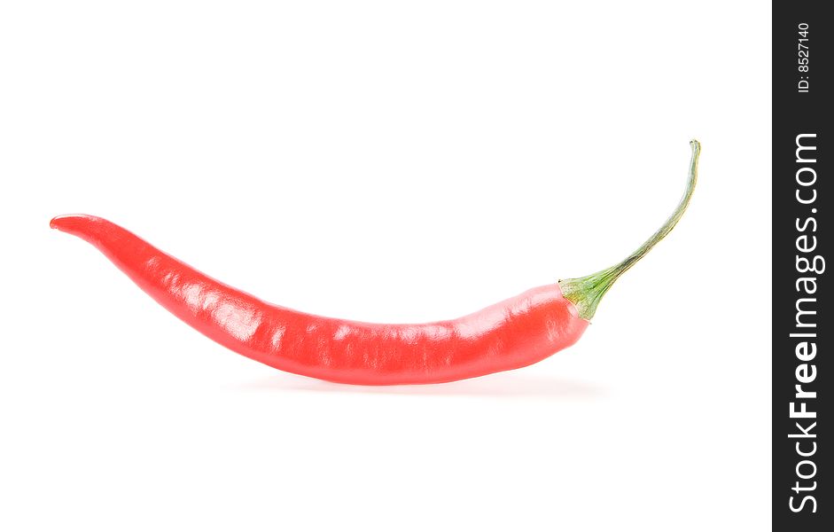 Red   chilly pepper  on white background