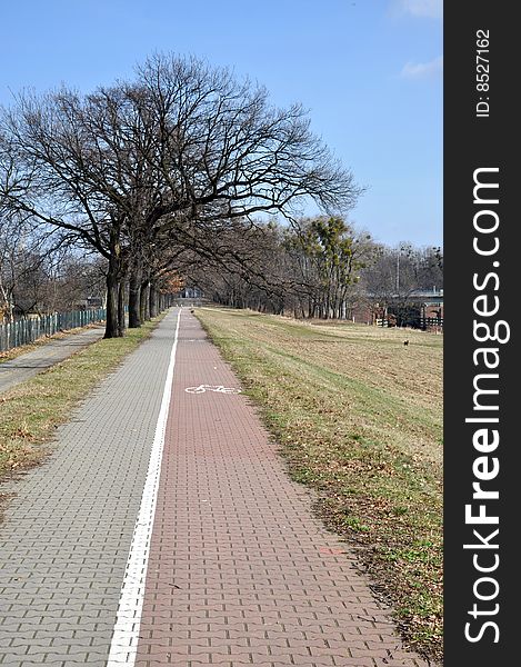 Straight bike road, with trees along