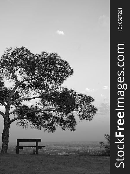A bench situated under a hanging tree in Cyprus. A bench situated under a hanging tree in Cyprus
