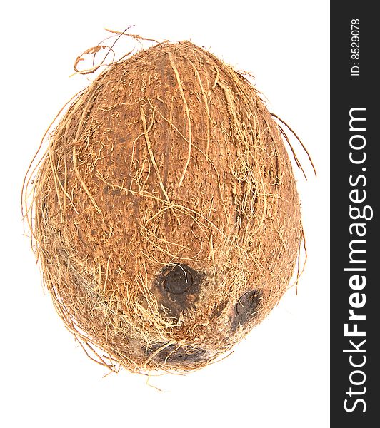 Coconut isolated against a white background